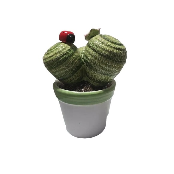 Ceramica Novità Succulents Ceramic Handmade Decorations Made In Italy - Picture 6 of 9